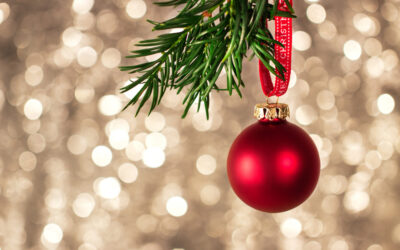openingstijden kerstvakantie